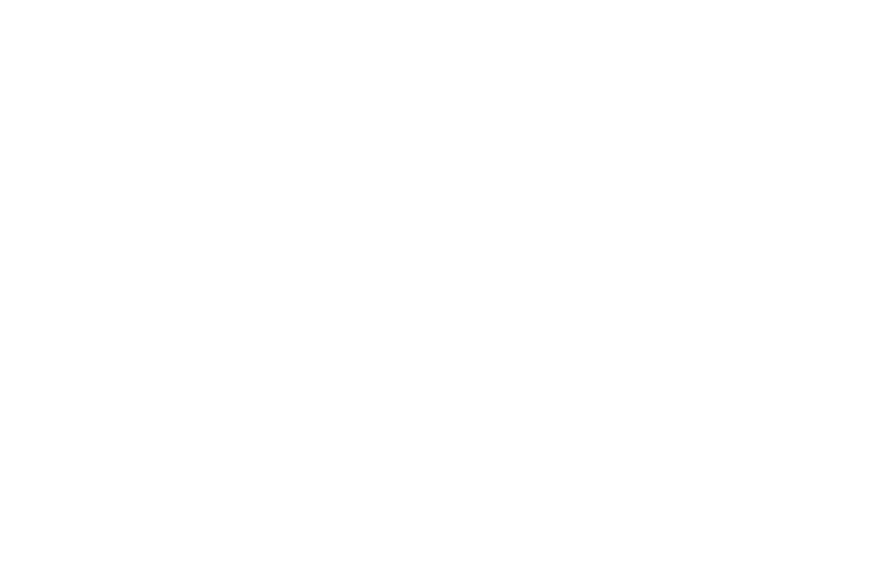 International Experimental Film Festival Official Selection